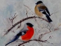 "Bullfinches" by Aileen Wheeler