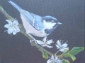 \"Coal Tit 1 with Hawthorn\" by Anne-Marie Marshall