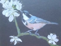 \"Coal Tit 2 with Hawthorn\" by Anne-Marie Marshall