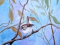 "Jenny wren" by Anne Whigham