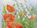 Anne Whigham - "Poppies and Foxgloves"