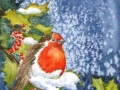 "Robin in winter" by Anne Whigham