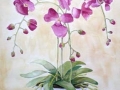 "Bowl of Orchids" by Anne Whigham