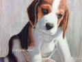 "Beagle Puppy" by Galyna Lee