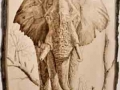 "Elephant" by Galyna Lee (Pyrography on wood)