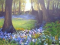 "Bluebell Bliss in Larbert Woods" by Maureen McAlpine