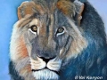"Lion King (2)" by Val Kenyon