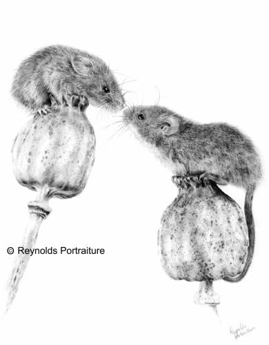 A Moment of Connection