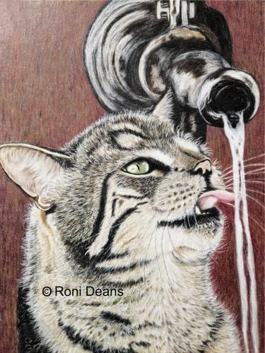 Moggy at the water spout