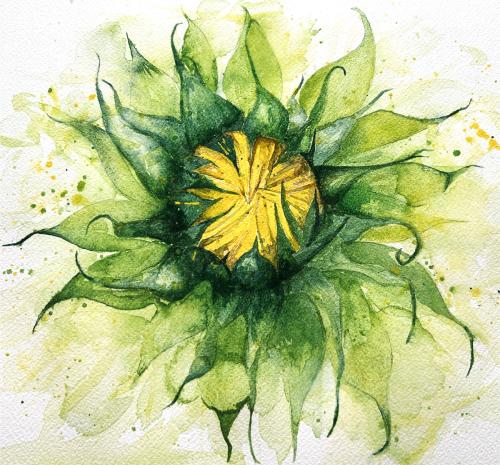 Sunflower Awakening
